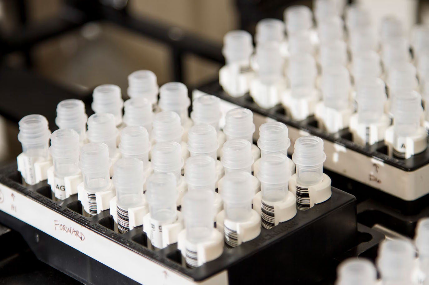Detailed iFLUOR application in research